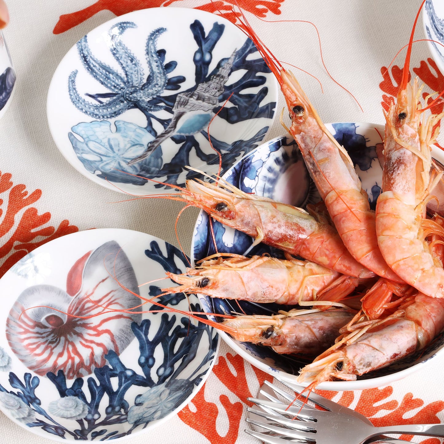 Beachcomber Nibbles Dish With Nautilus Design