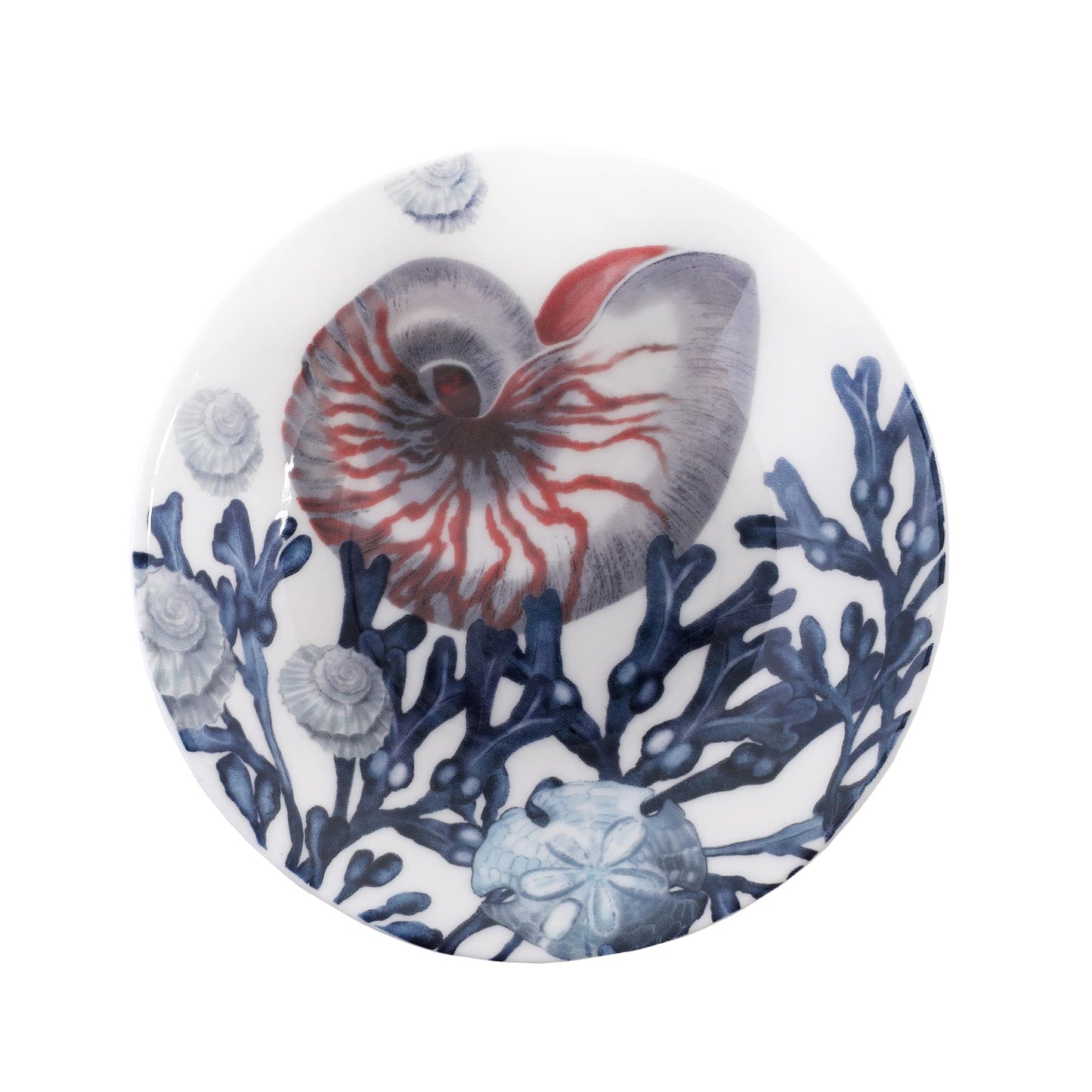 Beachcomber Nibbles Dish With Nautilus Design