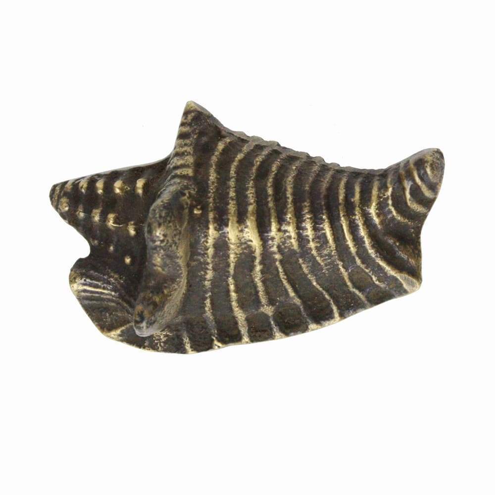 Brass Conch Shell Decorative Handle - Small