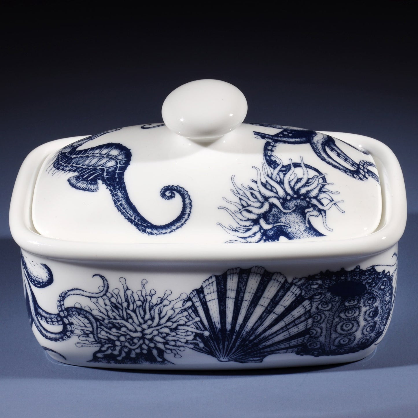 Bone China Sea Creatures Butter Dish